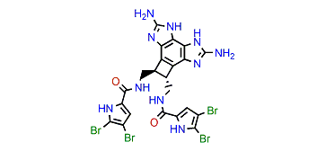 Benzosceptrin C